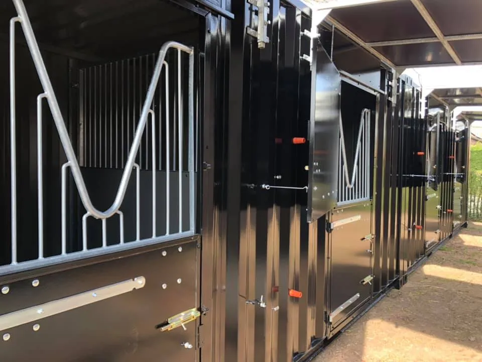 169482354_162347485747450_4079660414032035422_n